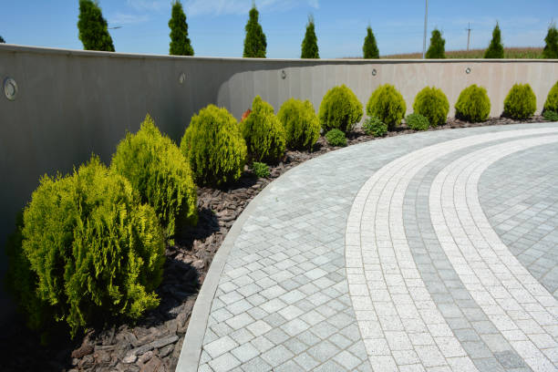 Reasons to Select Us for Your Driveway Paving Requirements in Fort Irwin, CA